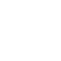 Videoquant AI